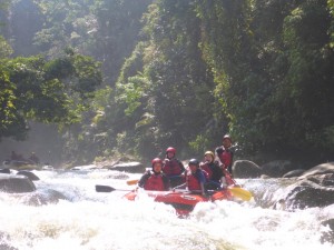 f90b3559-d698-4465-be06-1a1c56b9da12