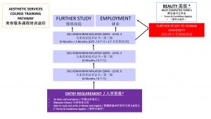 TRAINING PATHWAY SKM 2021 Aesthetic