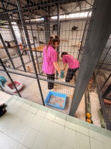 8b615412-db32-4ccb-b5f6-97cb68be6b97