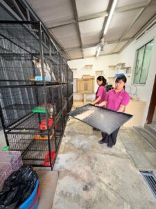 d0f40cfa-a340-45ee-875d-4fdbd041b13b