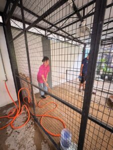 d37ecbec-15df-488b-ab20-c98e5890038c