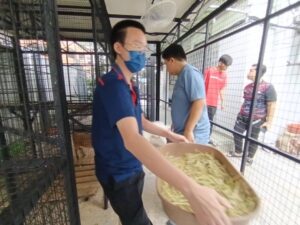 WhatsApp Image 2025-09-25 at 10.51.13_0b597508