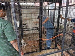 WhatsApp Image 2025-09-25 at 10.51.13_fa73ab4f