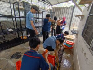 WhatsApp Image 2025-09-25 at 10.51.16_29575955