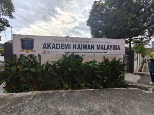 WhatsApp Image 2025-09-25 at 10.51.17_1ba07790